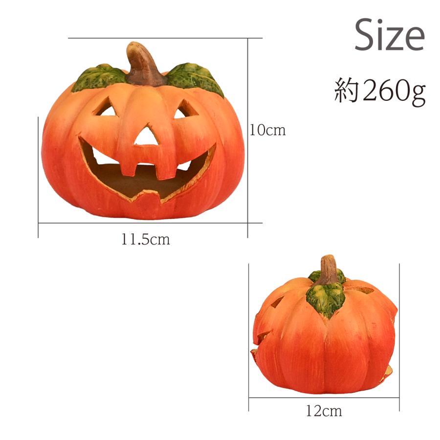 ハロウィン 黒猫＆パンプキンS セット 魔女帽子 コウモリマント