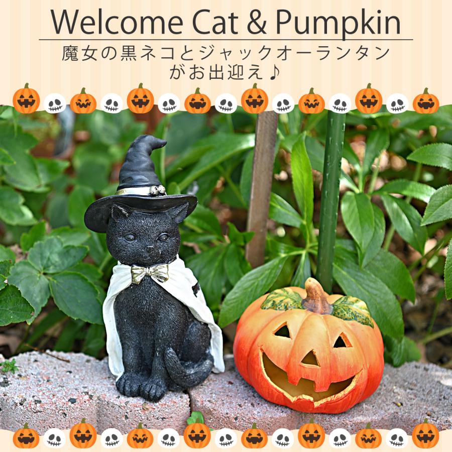 ハロウィン 黒猫＆パンプキンS セット 魔女帽子 コウモリマント