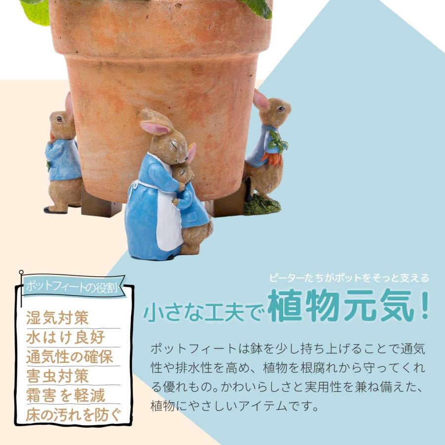 ピーターラビット ポットフィート 3個セット にんじん お母さん 植木鉢