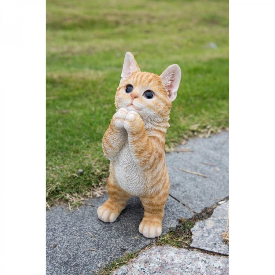 キトン お願いする子猫 ガーデンフィギュア スタチュー デコ : B&E