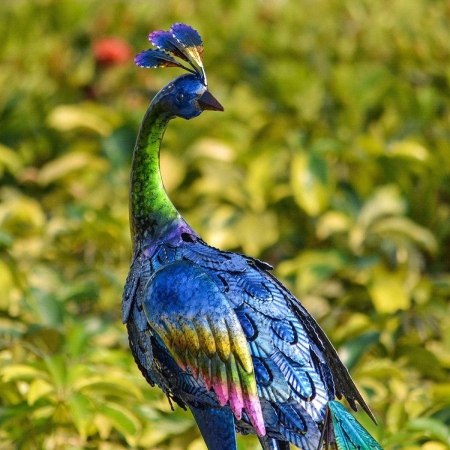 ピーコック 孔雀 クジャク ガーデンスカルプチャー スタチュー : B&E