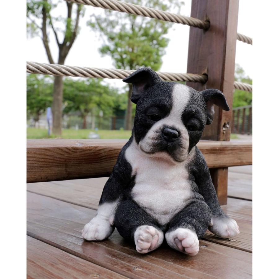 ポリレジン製 ガーデン彫像 座って眠そうにしているボストンテリアの