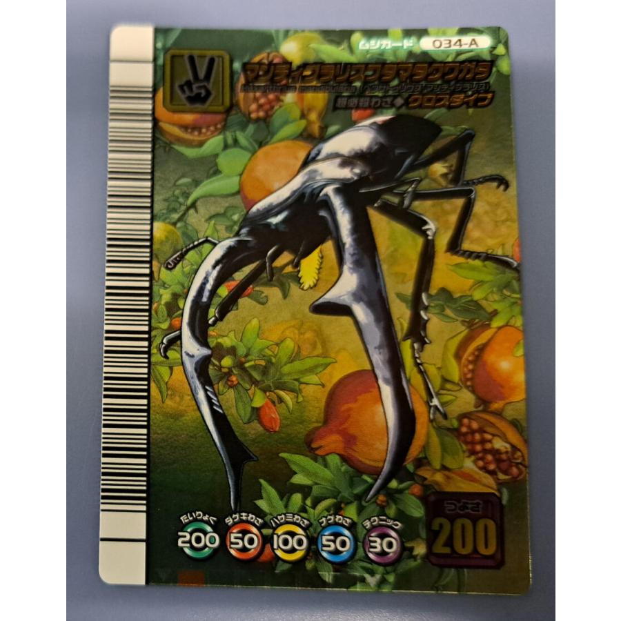 PSA10 マンディブラリスフタマタクワガタ 2005 夏限定デザインカード