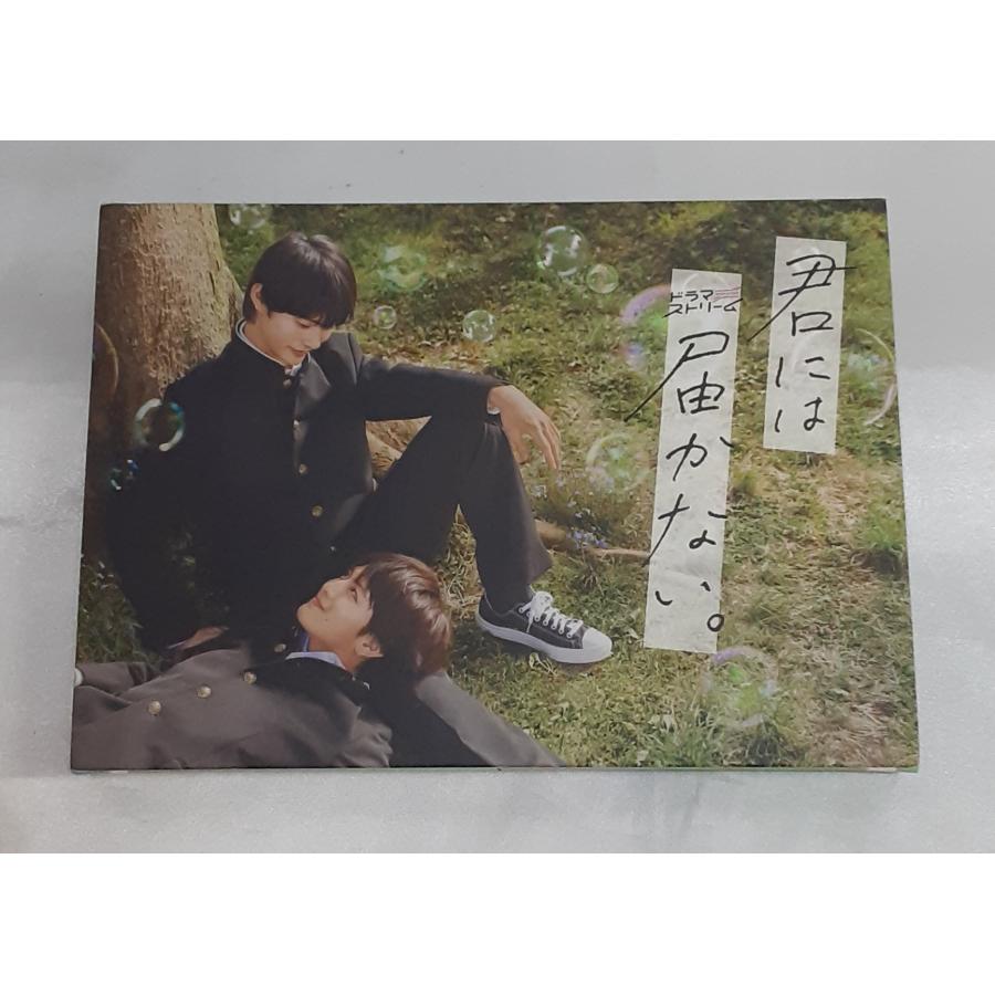 君には届かない。 DVD-BOX 初回版 限定版 ドラマストリーム オリジナル