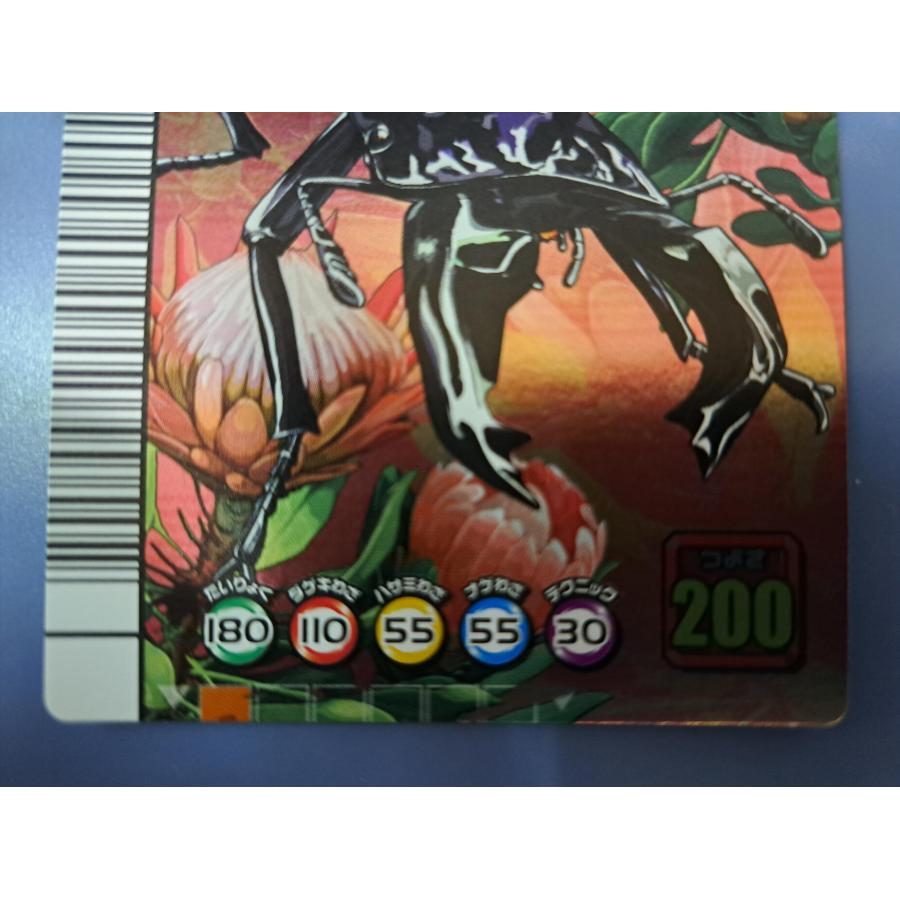 ぷぅもこ】スーパーシンザンキョウ 5周年コレクションカード第1弾