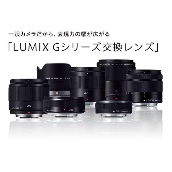 LUMIX Gシリーズ G100 VLOG ミラーレス一眼カメラ Vキット