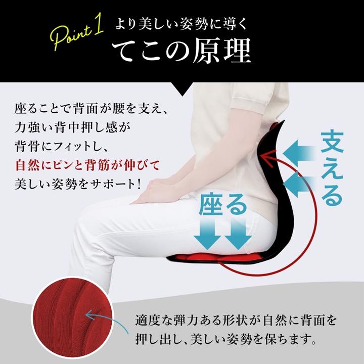 姿勢矯正 座椅子 クッション スワンル ボーテ swanru 姿勢 サポート