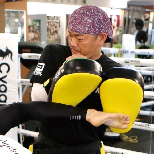 空手 ミット キックミット イサミ キックミットNS（1個） ISAMI 格闘技