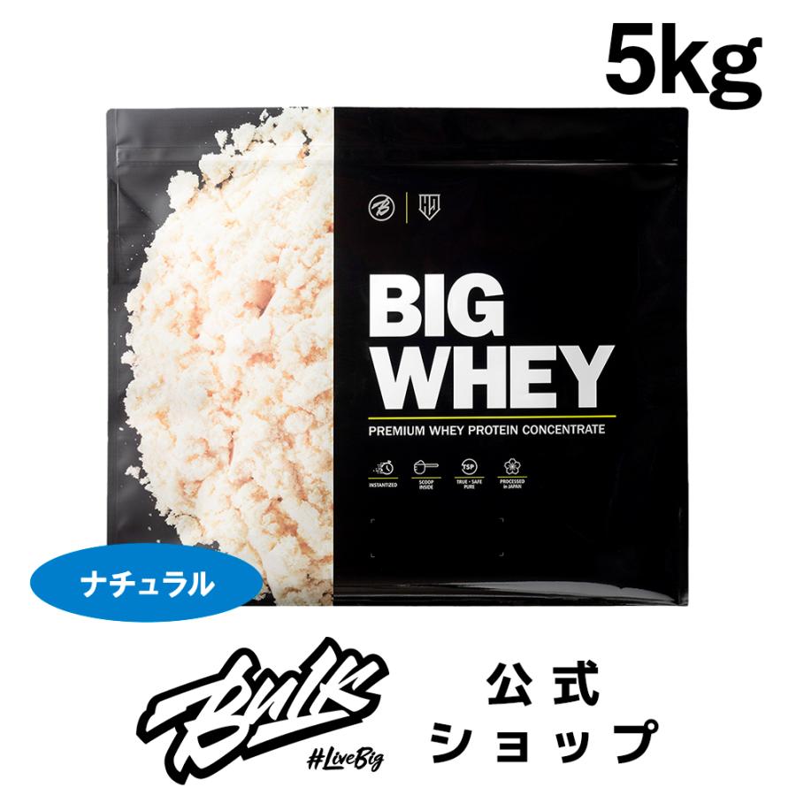 バルクスポーツ プロテイン 5kg 無添加 人工甘味料不使用 ビッグホエイ