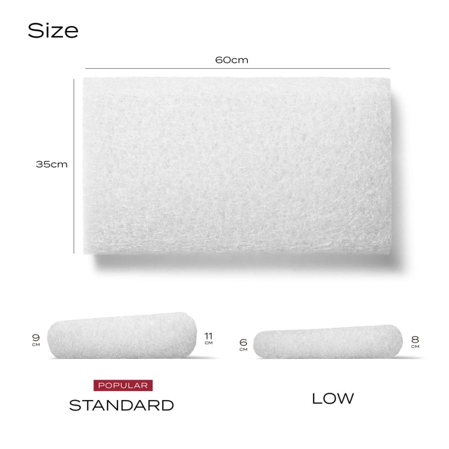 ブレインスリープ ＼カバー2枚付き／ 枕 ピロー まくら 洗える 肩こり