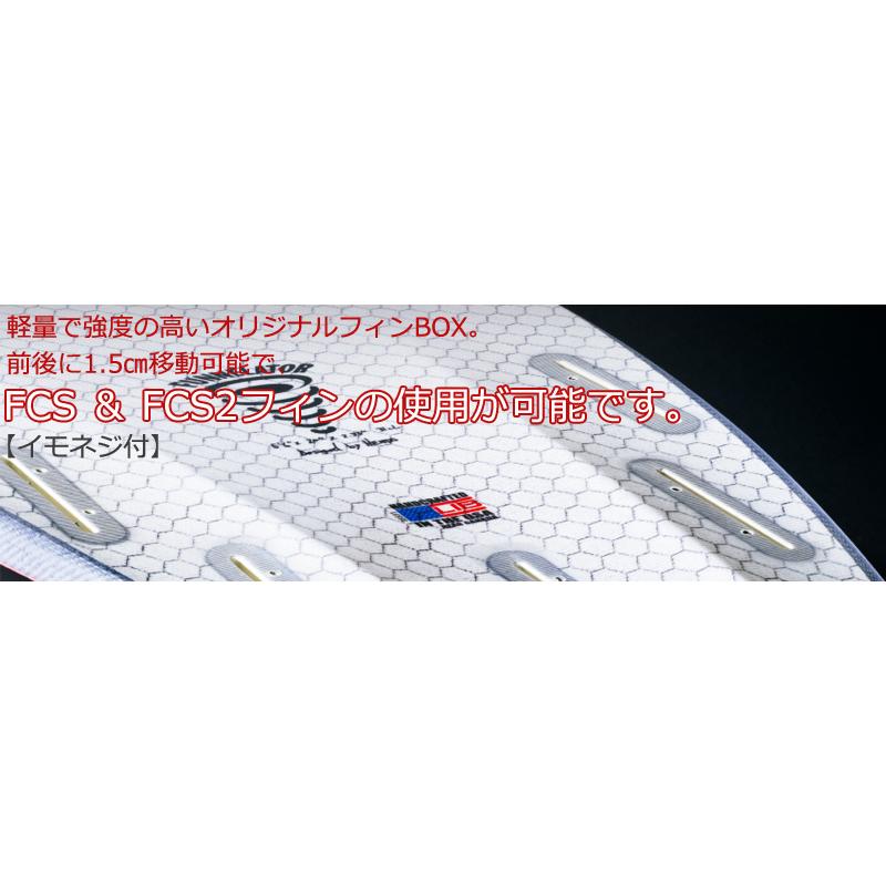 LIB TECH（リブテック） LOST LIBTECH MR x MAYHEM CALIFORNIA TWIN