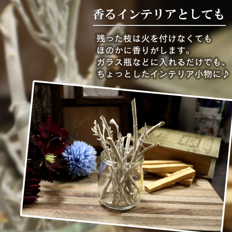 GOLD STONE ホワイトセージ 枝付き クラスター 無選別 50g 無農薬