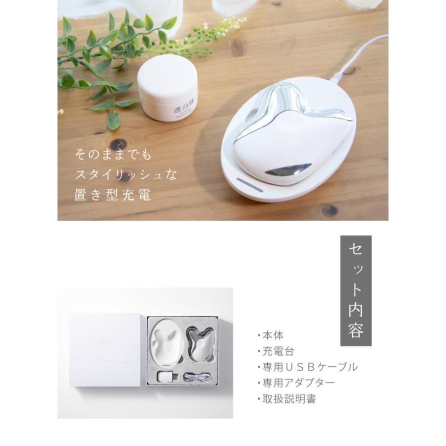 PROIDEA（プロイデア） 限定数終了後、値上げとなります！ 新品 島田流