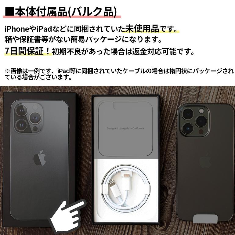 Apple iPhone ケーブル タイプc 純正充電ケーブル ライトニング