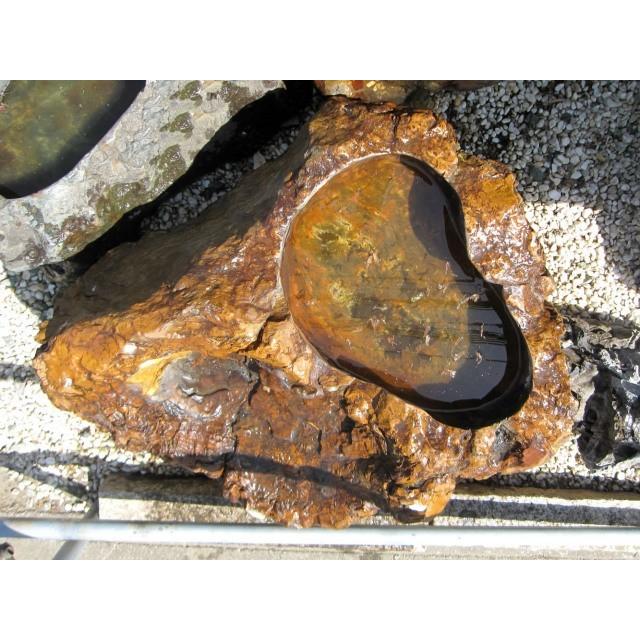 つくばい 珪化木 木化石 手水鉢 水鉢 大きい 庭石 天然石 溜まり石 木