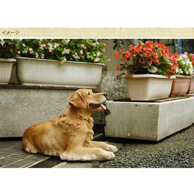 犬 置物 本物そっくり ゴールデンレトリバー のんびり 大型 オブジェ