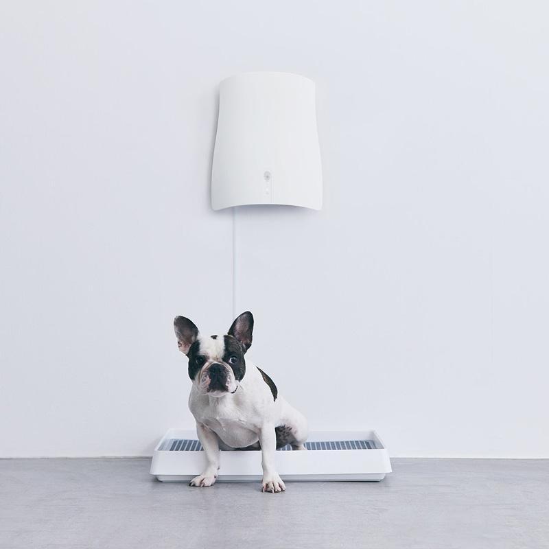 サンスター SUNSTAR 除菌脱臭機 04A1J-OW 約6〜30畳 オフホワイト QAIS