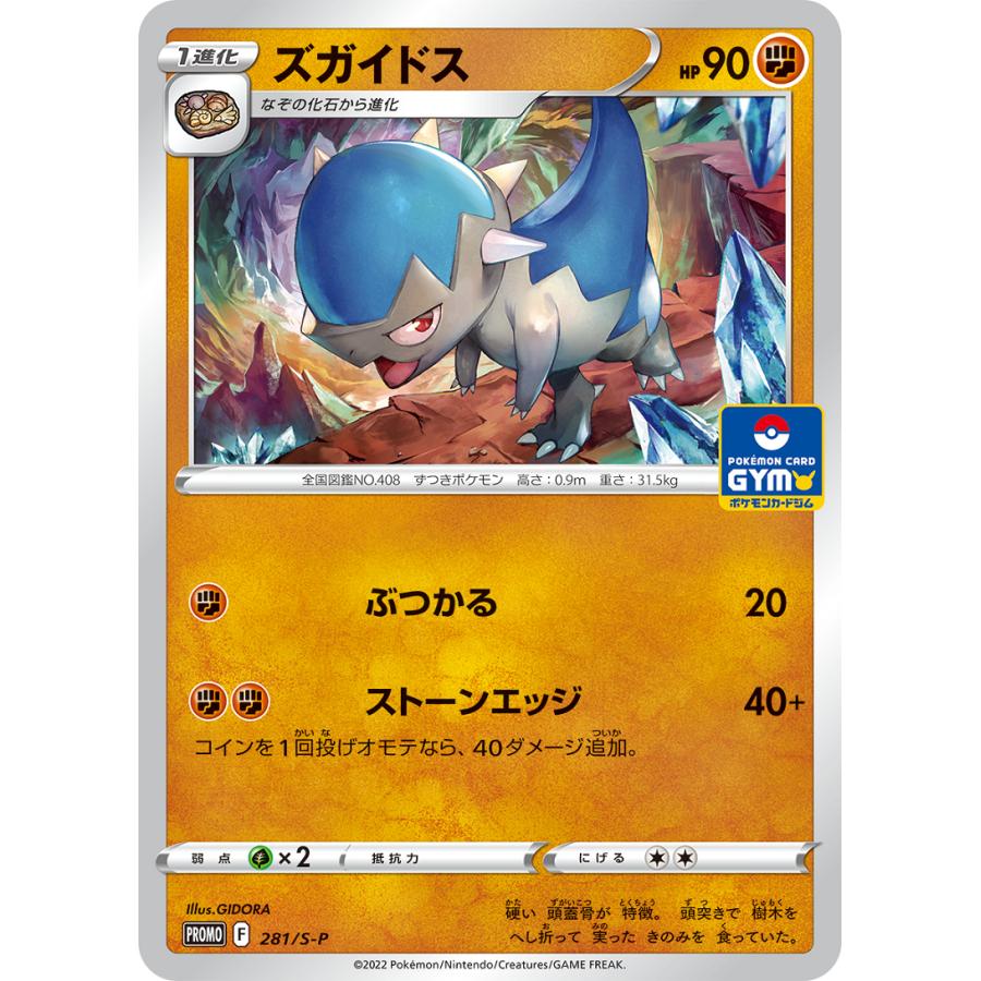 第10弾 ソード＆シールド プロモカードパック ポケモンカードジム