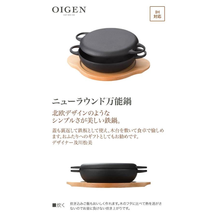 及源鋳造（OIGEN）南部鉄器 盛栄堂 ニューラウンド万能鍋 27cm F-157