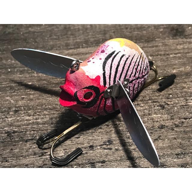 からんば 羽ナポレオン 透明骨格標本 : GIZMO ヤフー店 - 通販 - Yahoo