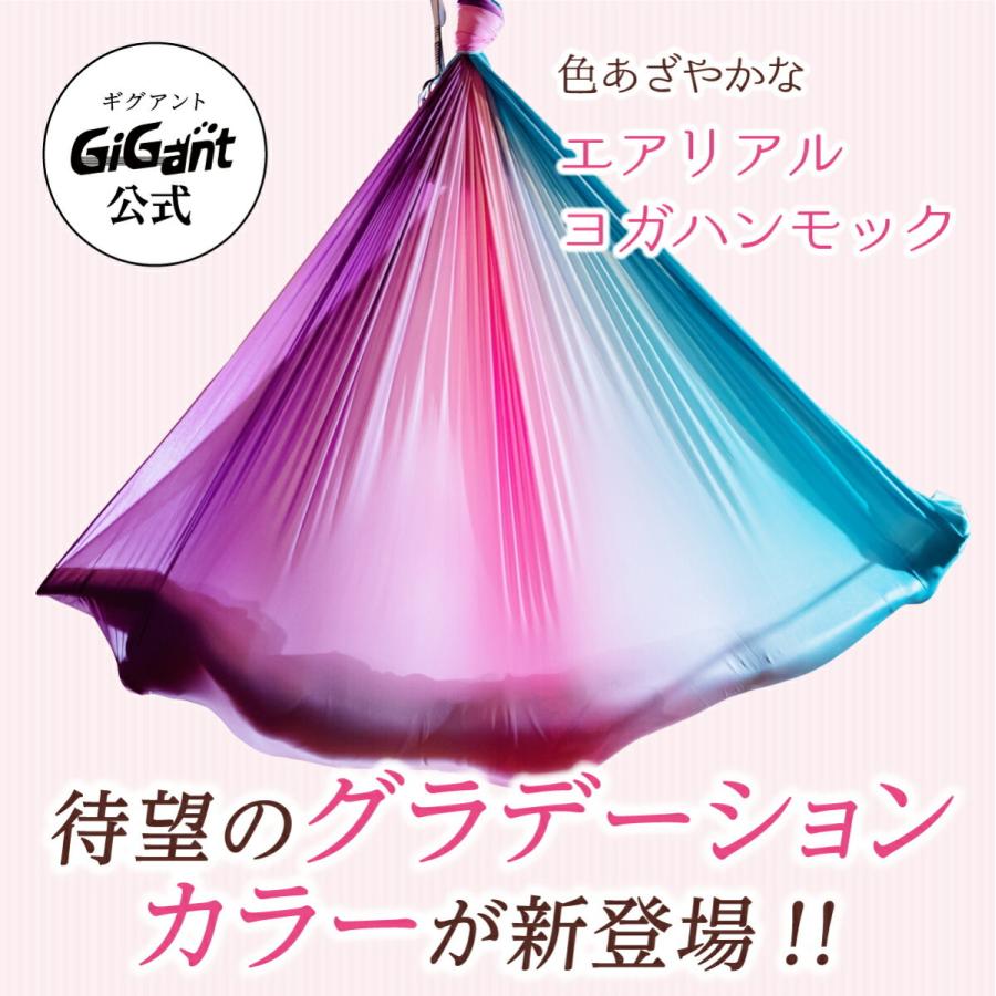 GiGant公式 エアリアルヨガ フルセット グラデーション 空中ヨガ 金具