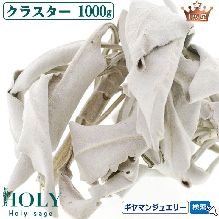 ホワイトセージ 部屋 浄化 クラスター 1000g 1kg 1ツ星 枝付き