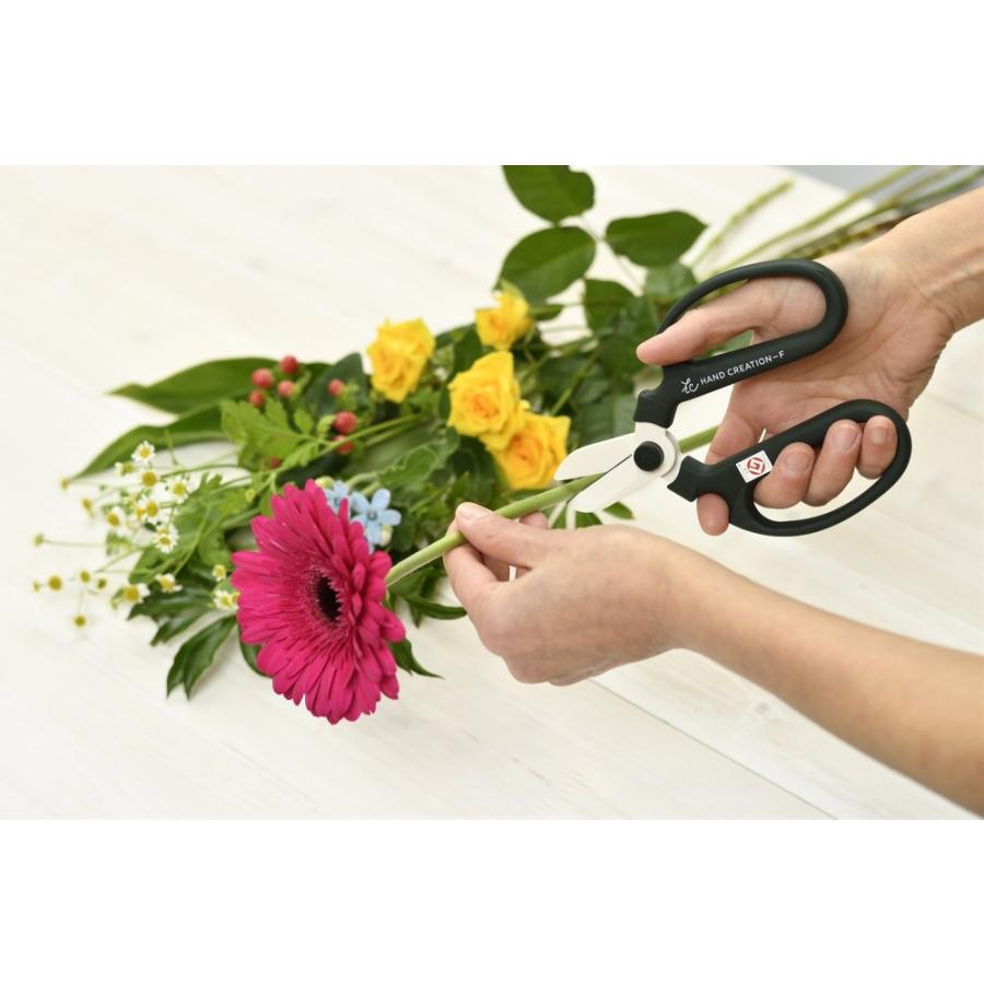 坂源（sakagen） 剪定ばさみ 日本製 ハンドクリエーション 170mm