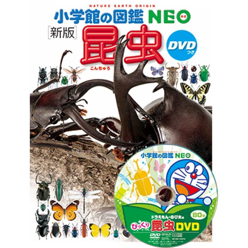 小学館の図鑑NEO [新版] 昆虫 DVD付き : 代官山 蔦屋書店 ヤフー店