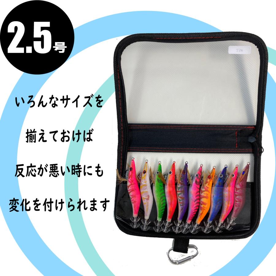 エギ エギング10点 餌木 イカ釣り 3.5号 3.0号 2.5号 ルアー 収納