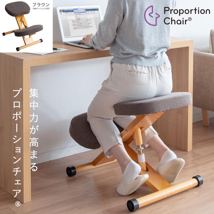 宮武製作所 メーカー直送 プロポーションチェア 背筋矯正 組立式