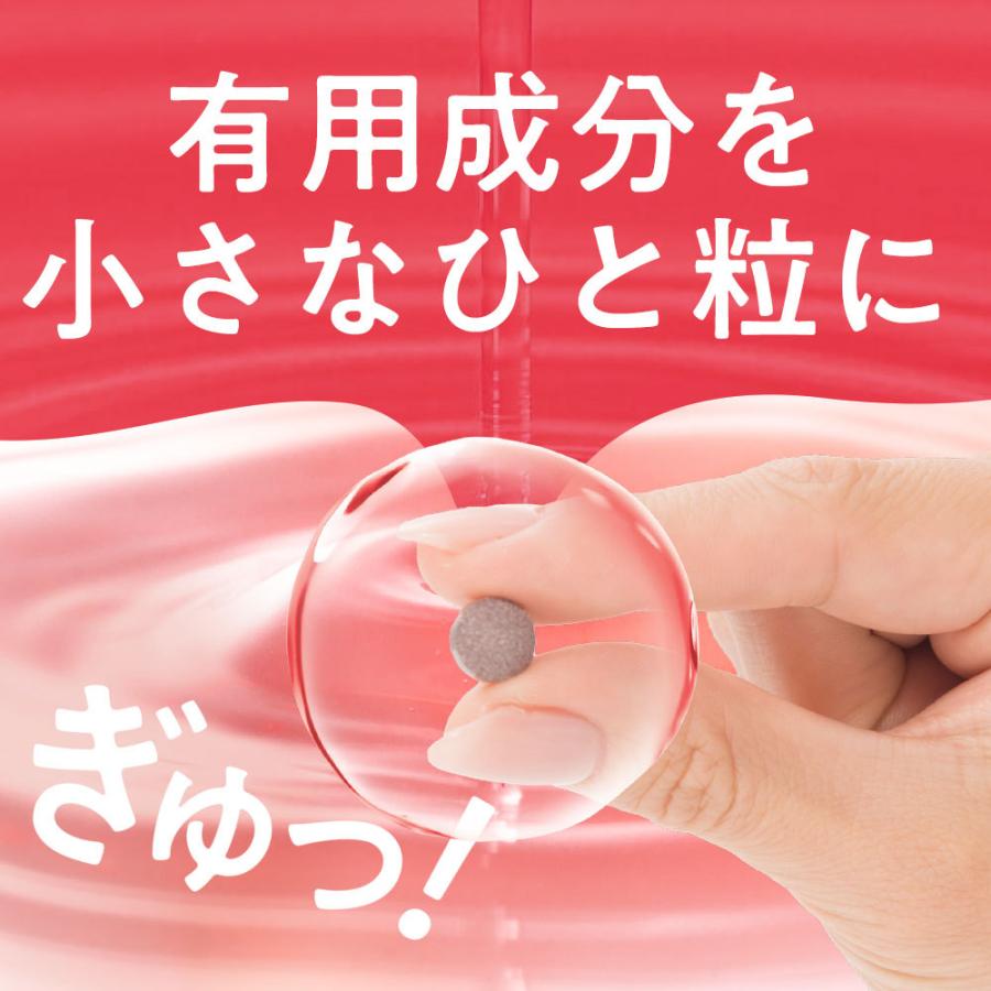 DMJえがお生活 カテキン減脂粒 10袋セット 15%OFF DMJえがお生活 31日