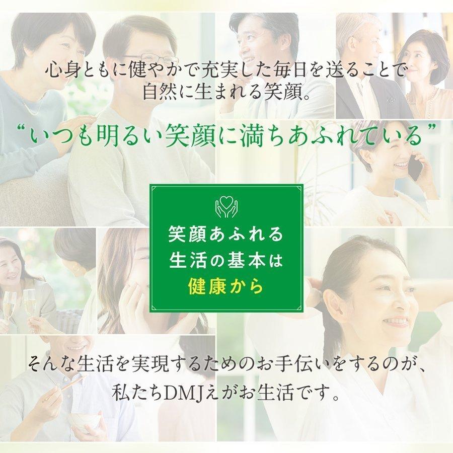 DMJえがお生活 カテキン減脂粒 6袋セット 10%OFF DMJえがお生活 31日分