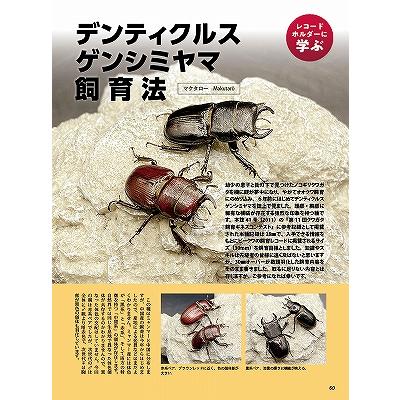 BE-KUWA (ビー・クワ) 97号 送料込み : 有限会社プロスパー - 通販