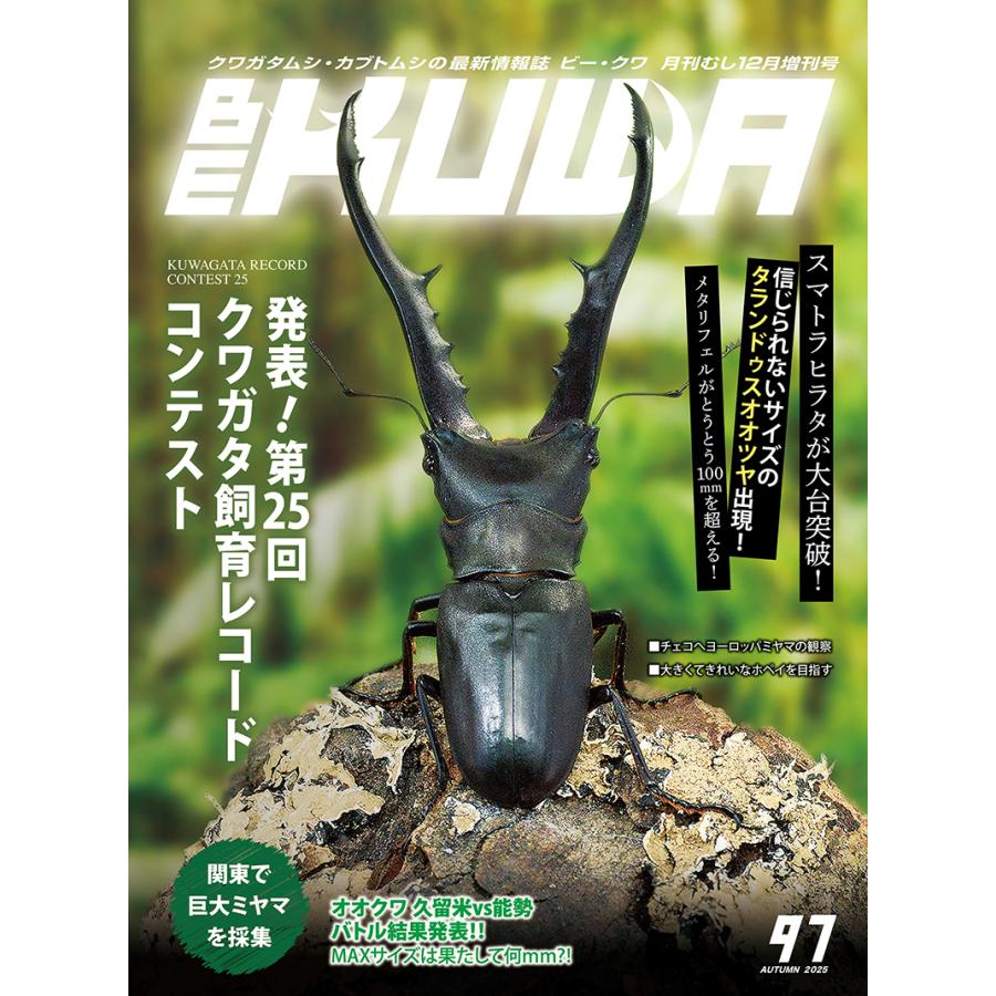 BE-KUWA97号 ネコポス便送料込み BEKUWA97 : どら猫屋 - 通販 - Yahoo
