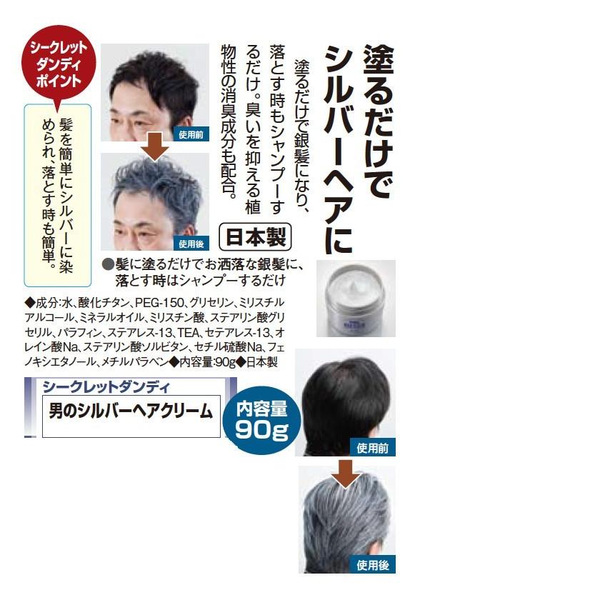 男のシルバーヘアクリーム - ダンディクラブ : ダンディ イーグル 二光