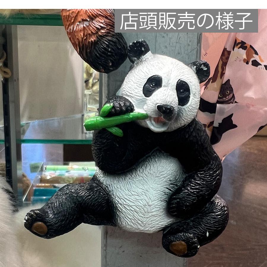 Animal Friends（アニマルフレンズ） マグネット パンダ 動物 リアル