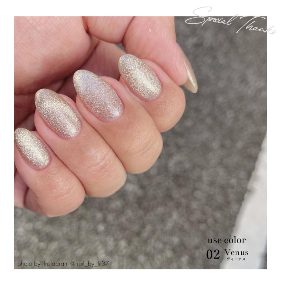 NAILTOWN（ネイルタウン） [ネコポス送料無料]マグネットネイル ネイル