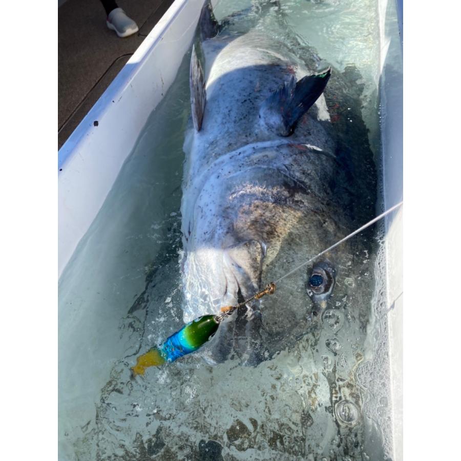 Kiyora CD（ルアー）／キヨラ カレントダイバー 200F‐85g┃DEEP BLUE