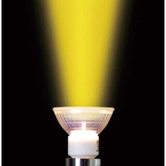 YAZAWA ヤザワ ケース販売 10個セット UVカット機能付 ハロゲン電球