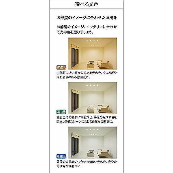 大光電機 【当日発送OK】大光電機 DDL-5102YW LEDダウンライト 電球色