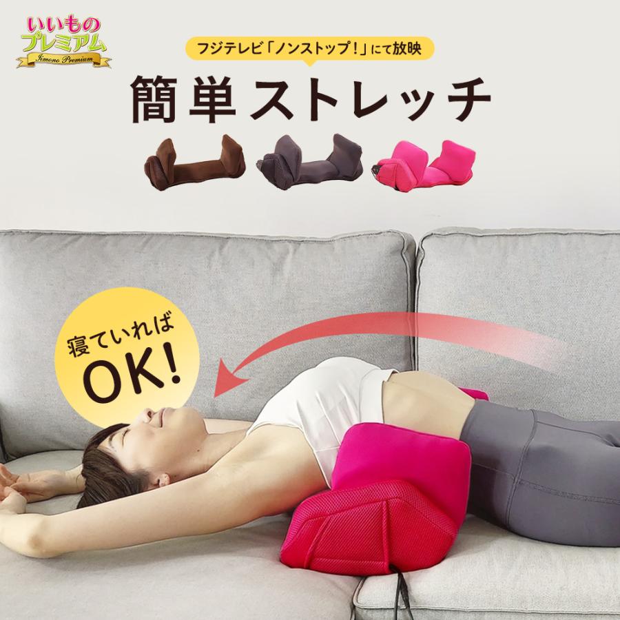 dinos（ディノス） エアプリエ DELUXE（デラックス） 寝るだけ