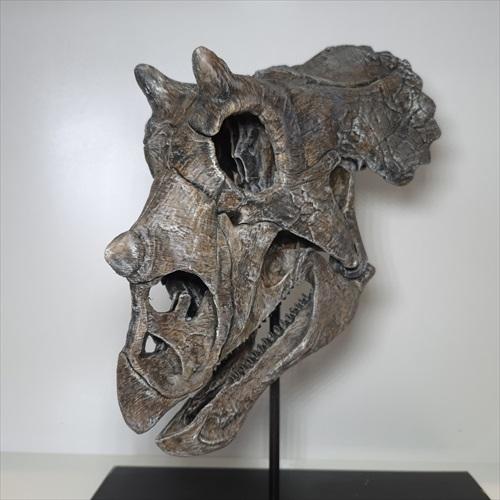 トリケラトプス 頭骨 化石 レプリカ 約 350mm プレゼント ギフト tcr1