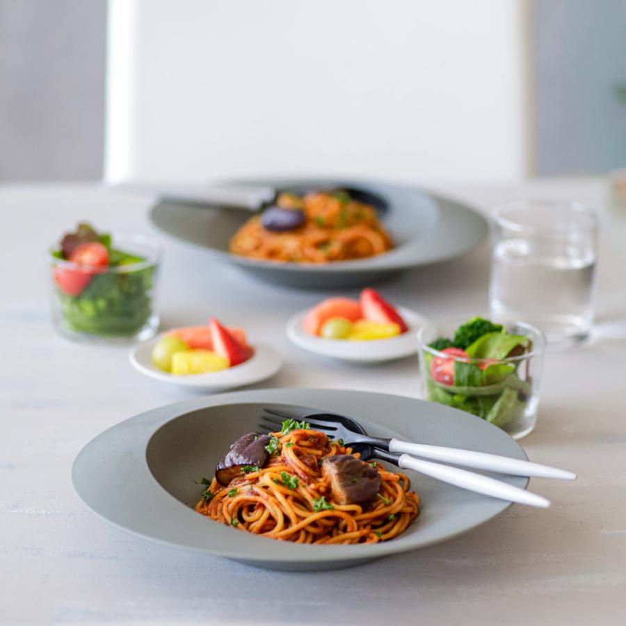 ARAS（エイラス） ディノス大人気10点セット 特典付き 食器 平皿 長皿