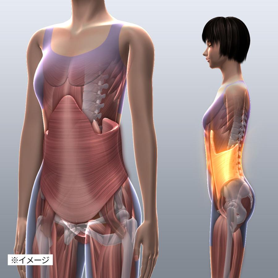 dinos（ディノス） エアプリエ DELUXE（デラックス） 寝るだけ