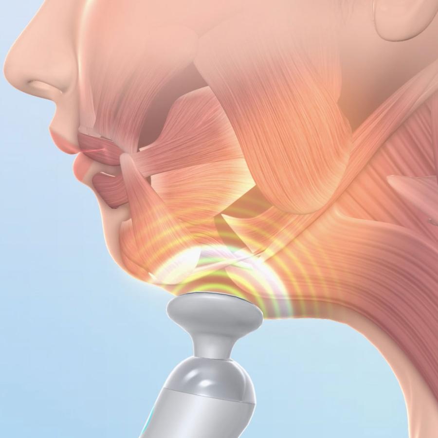 dinos（ディノス） スタイリーフェイス 美容 美顔器 EMS フェイス