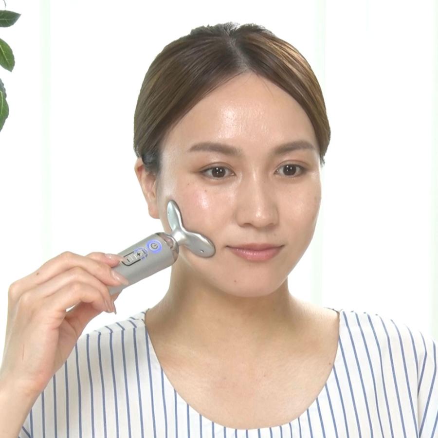 dinos（ディノス） スタイリーフェイス 美容 美顔器 EMS フェイス