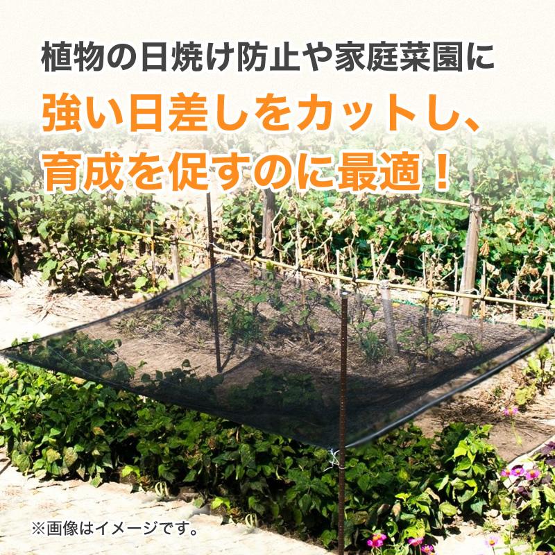 ダイオ 公式 遮光ネット1010 70％ サイズ 幅2m×長さ6m 黒 【ダイオ