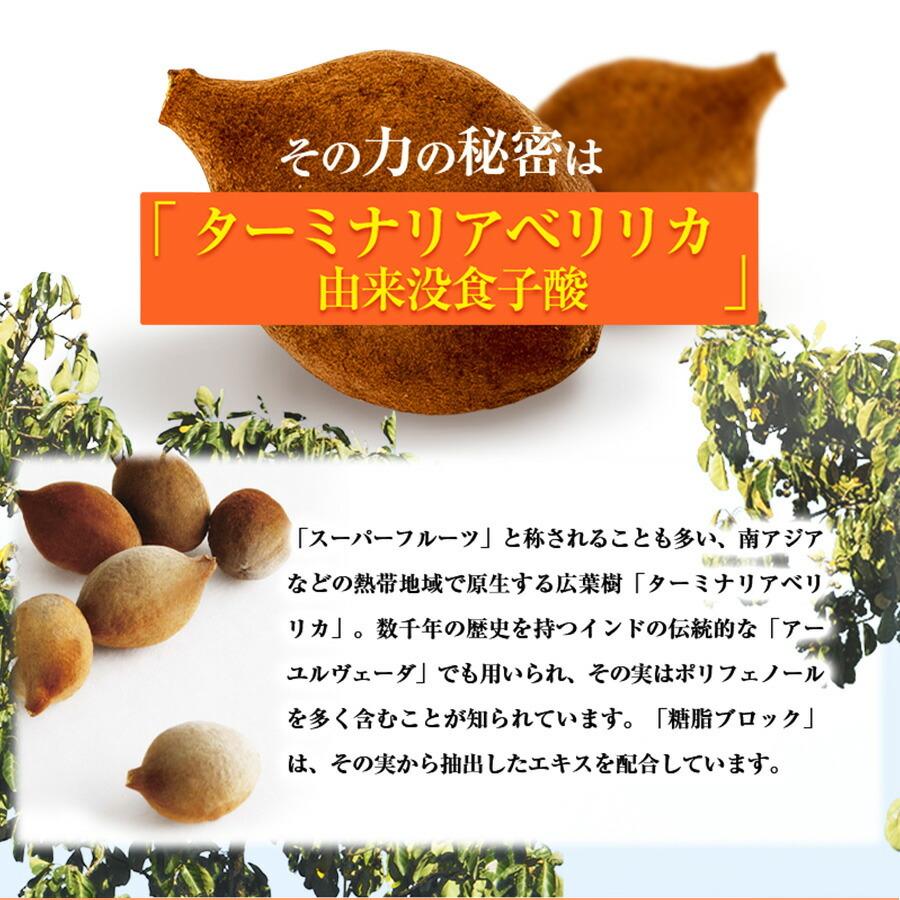 Eisai（エーザイ） 糖脂ブロック 180粒（約30日分） : エーザイ