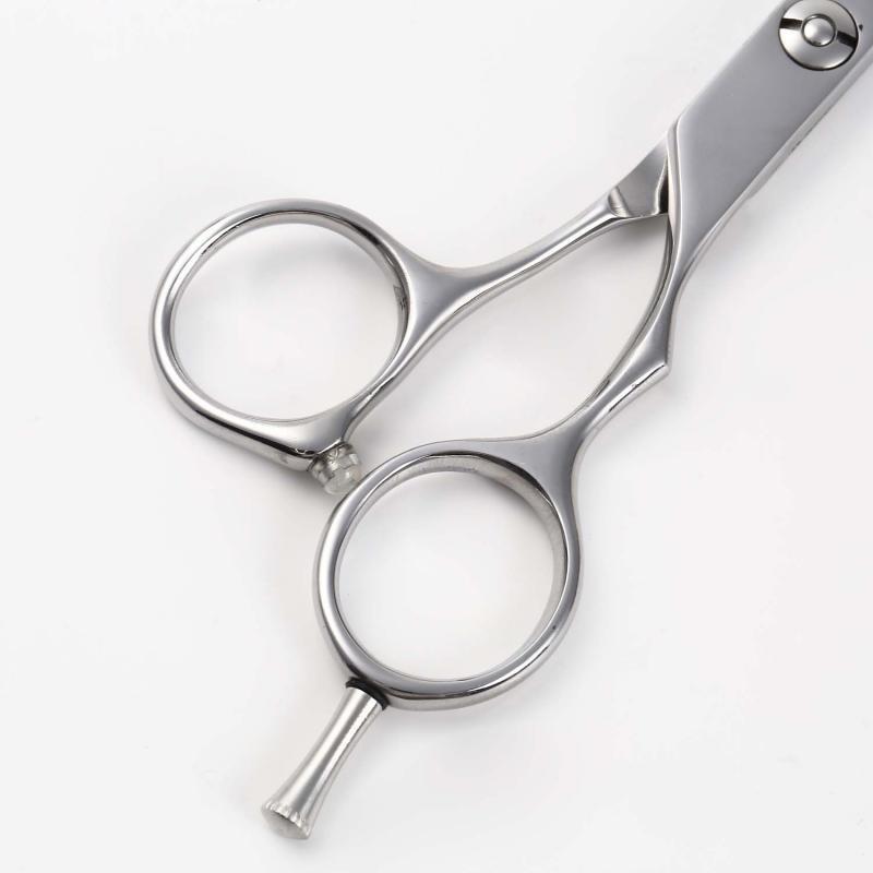 DEEDS プロ用 美容師 GBZ シザー (5.5インチ) 日本の鋏専門メーカー