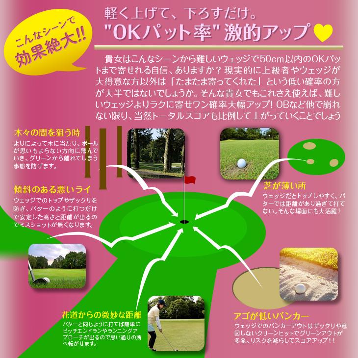 DYNAGOLF（ダイナゴルフ） ゴルフ クラブ チッパー 33インチ ロフト角